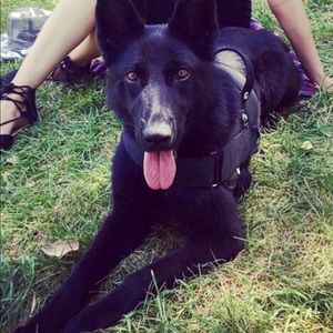 Meet your Posher, Jasmin